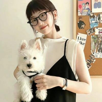 玩偶特工 海报